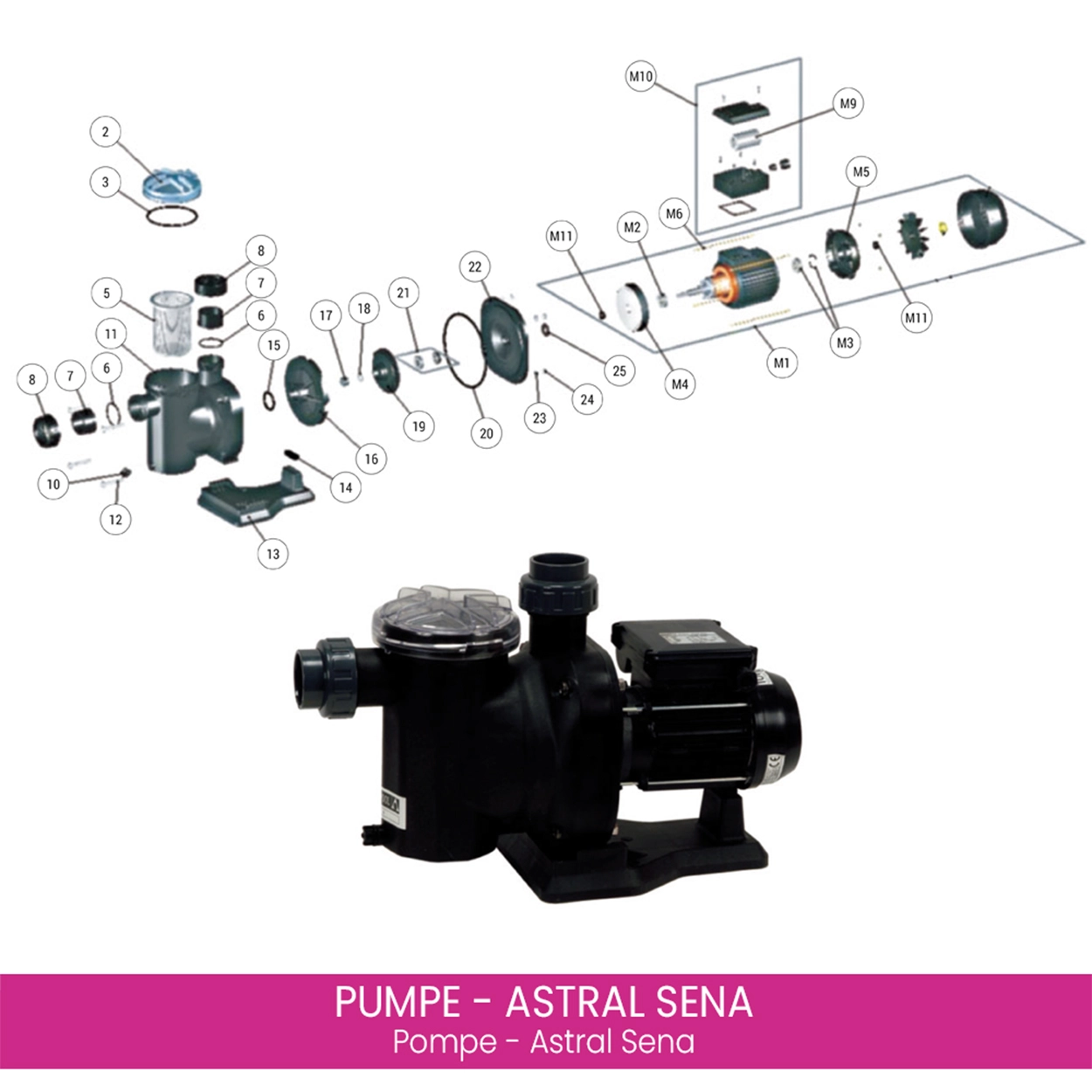 Pied de pompe Astral Sena