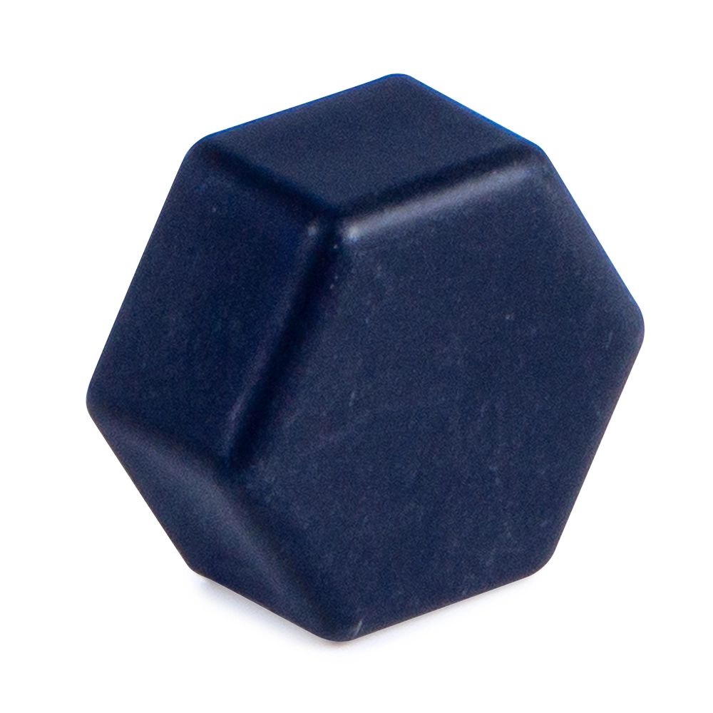 Vis de vidange 1/4" pour Astral Victoria Plus (nouveau)