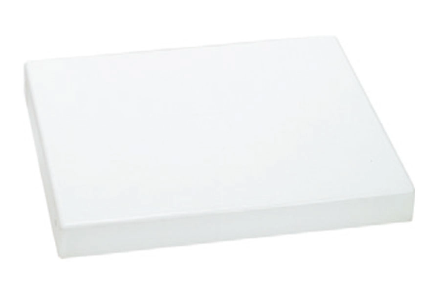 Plaque de marche pour échelle de piscine surélevée Astral (4401011403)