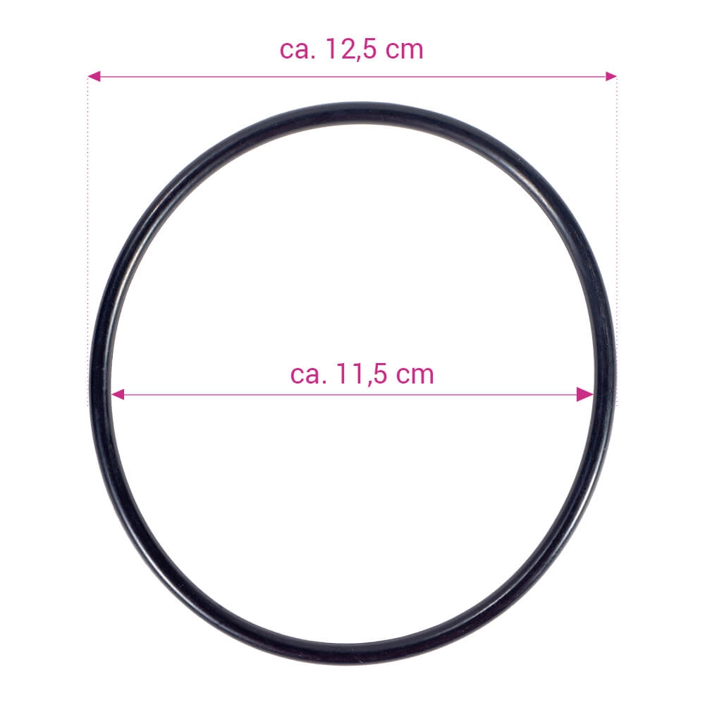 Joint torique pour couvercle transparent pour pompe de filtration E-Saver 20/24