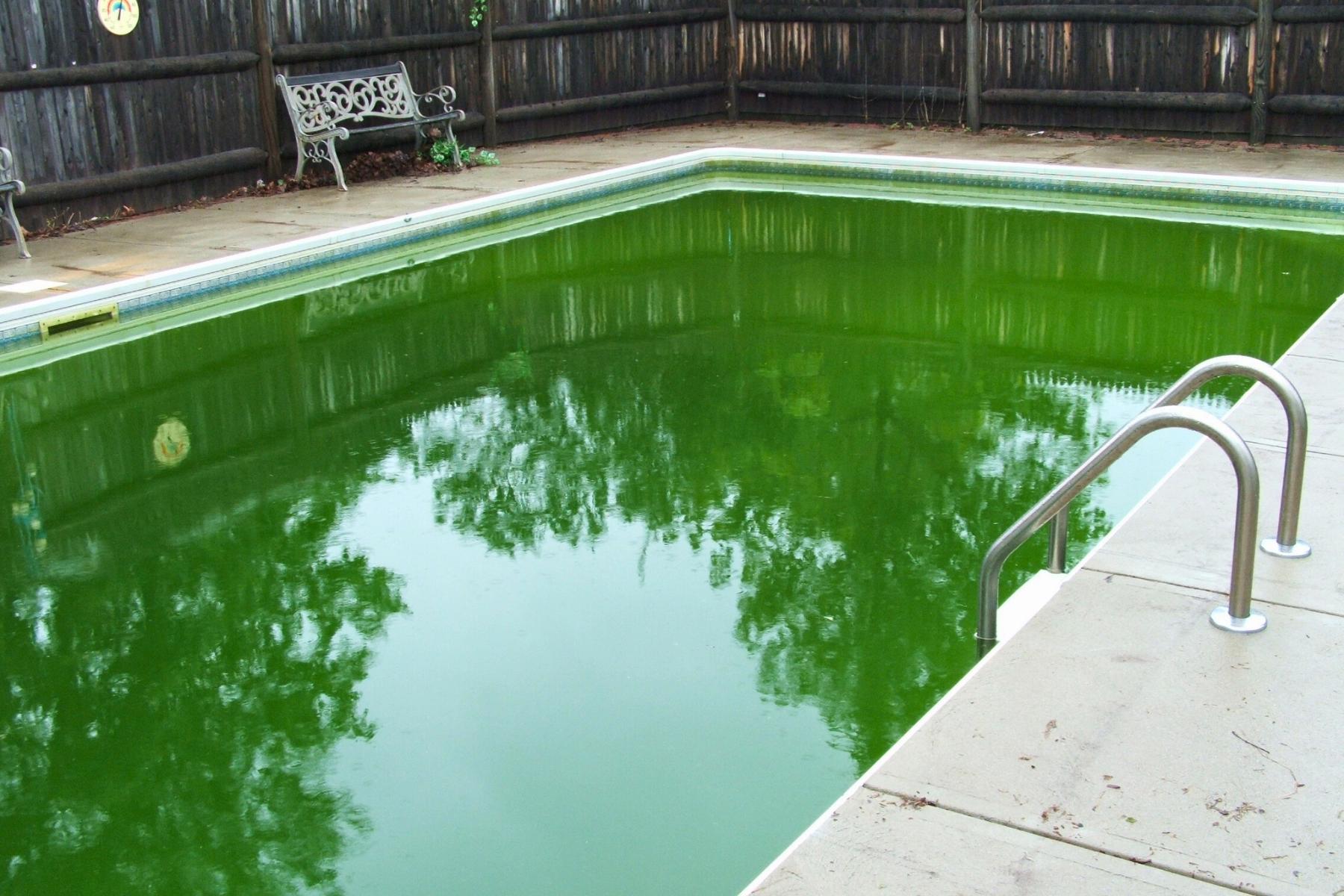 Piscine verte avec échelle